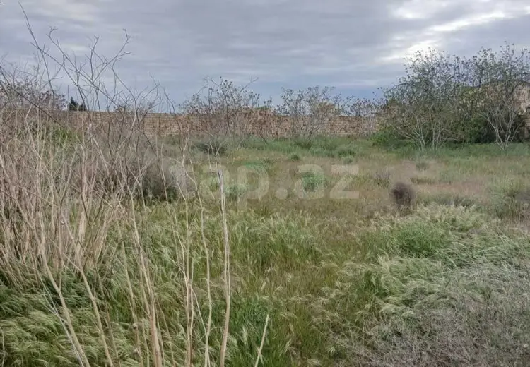 0 m² Obyekt / Ofis , Nardaran qəs., Sabunçu, Bakı