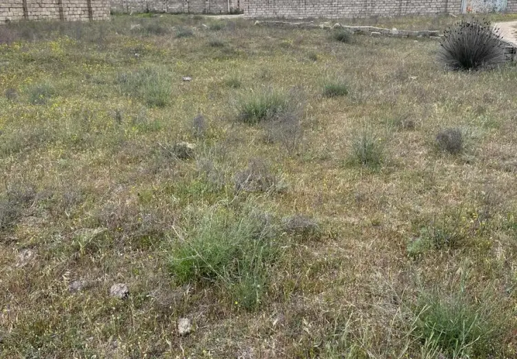 10 sot Torpaq Satılır, Dübəndi, Xəzər, Bakı