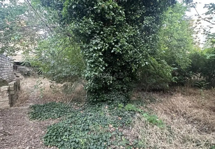 6 sot Torpaq Satılır, Sabunçu qəs., Sabunçu, Bakı