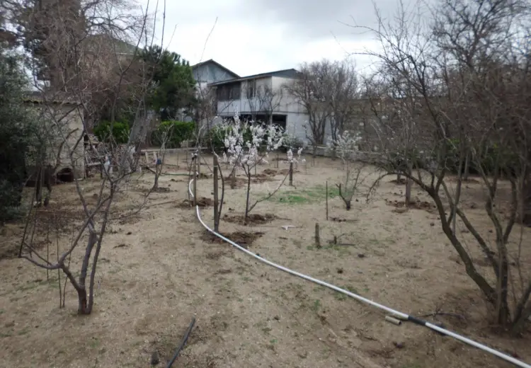 12.6 sot Torpaq Satılır, Goradil, Abşeron