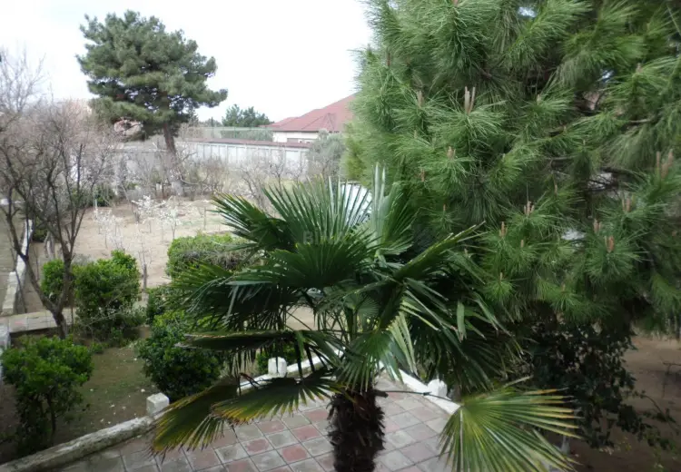 12.6 sot Torpaq Satılır, Goradil, Abşeron