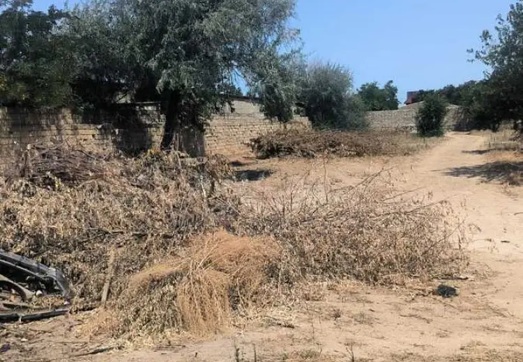 24 sot Torpaq Satılır, Buzovna, Xəzər, Bakı