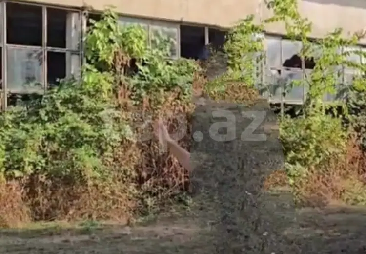 0 m² Obyekt / Ofis , Lənkəran