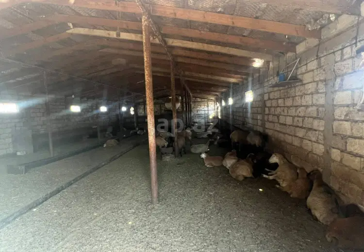 0 m² Obyekt / Ofis , Sumqayıt