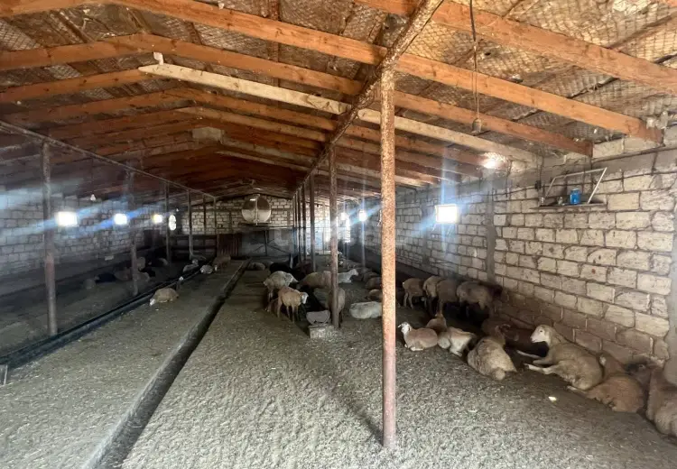 0 m² Obyekt / Ofis , Sumqayıt