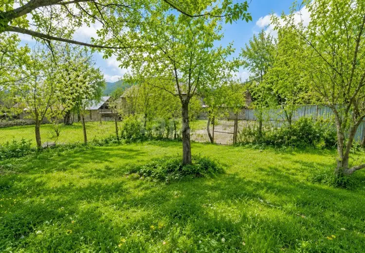 0 m² Obyekt / Ofis , Bakı