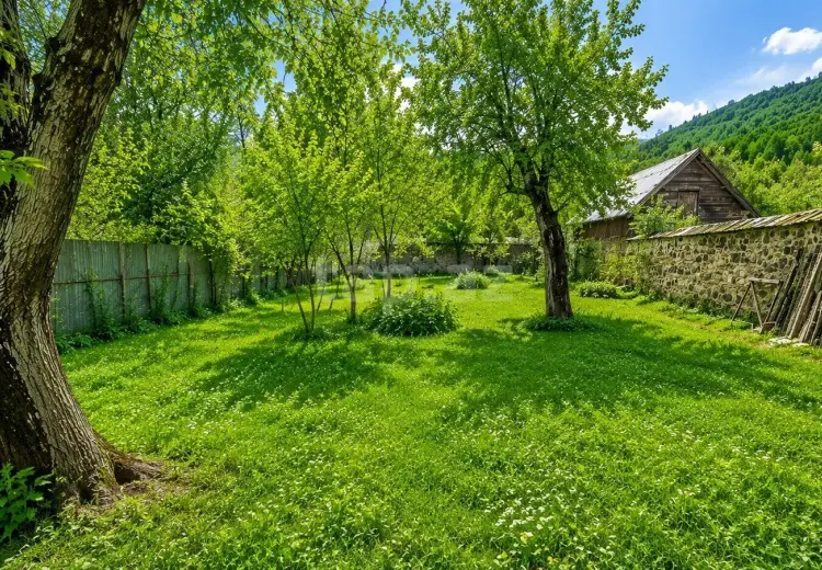 0 m² Obyekt / Ofis , Bakı