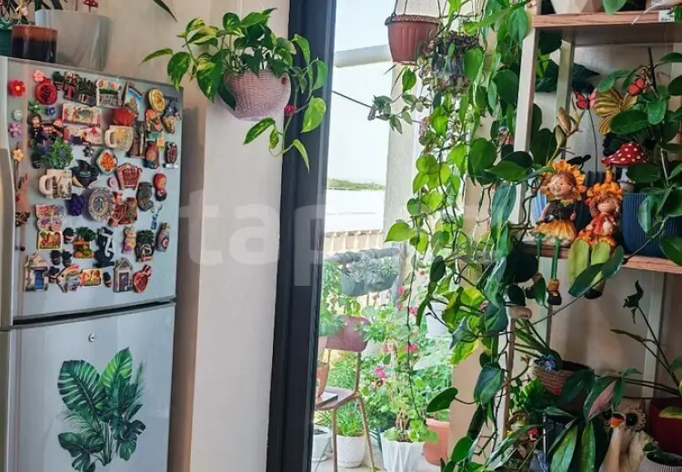 2 otaqlı mənzil , Sumqayıt