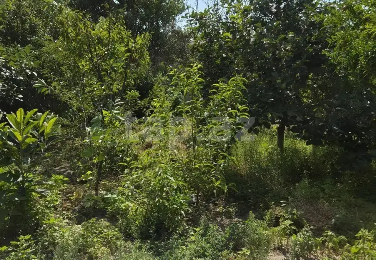 3 otaqlı mənzil , Sumqayıt