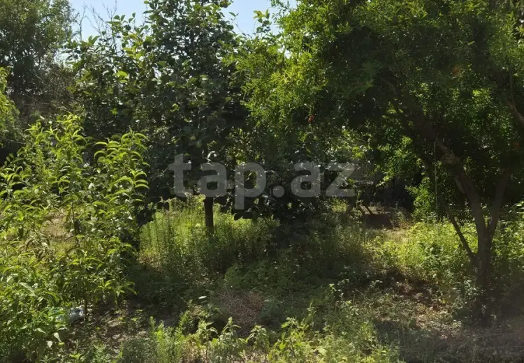 3 otaqlı mənzil , Sumqayıt