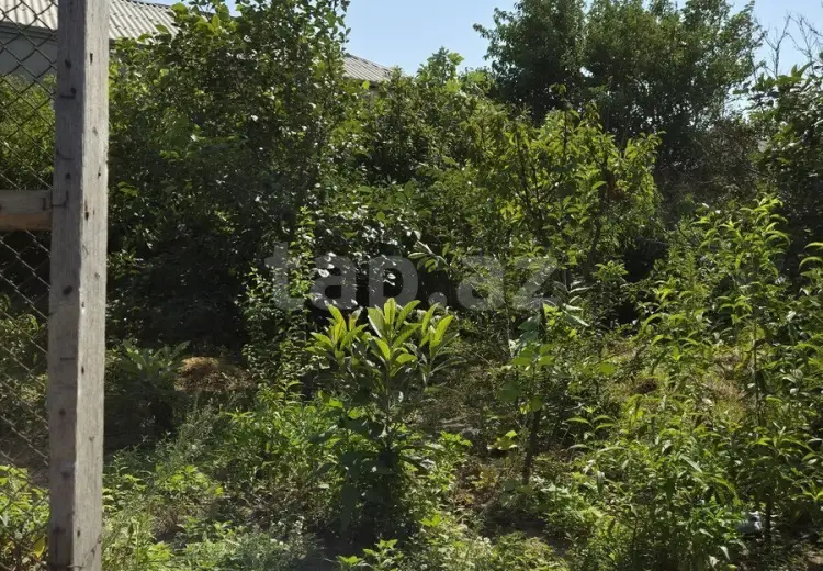 3 otaqlı mənzil , Sumqayıt