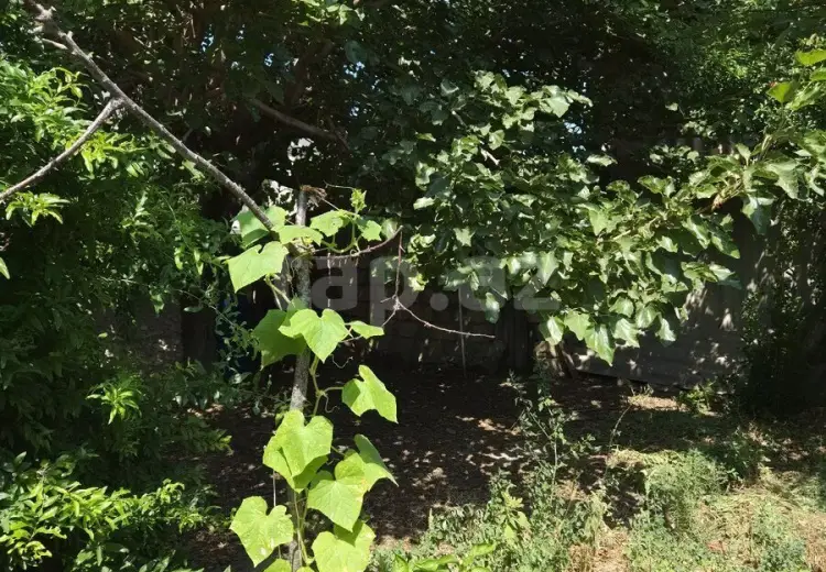 3 otaqlı mənzil , Sumqayıt