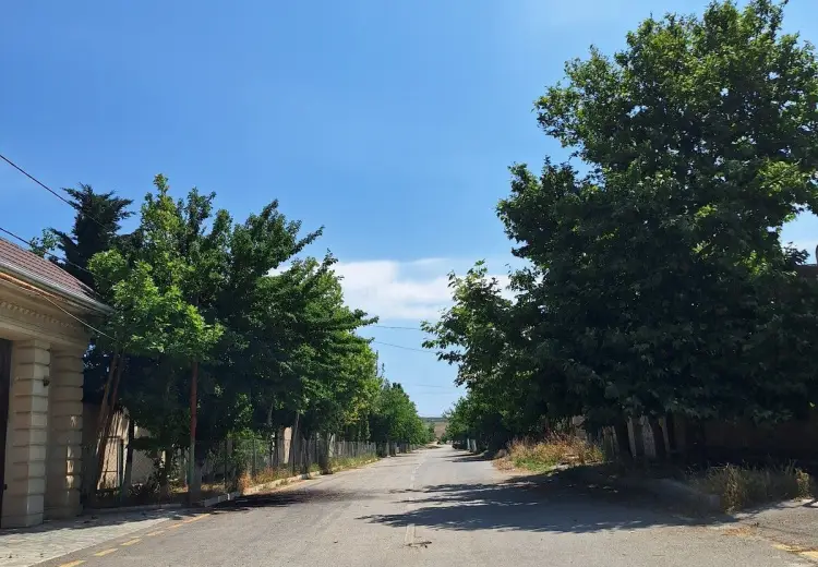 6 sot Torpaq Satılır, Novxanı, Abşeron