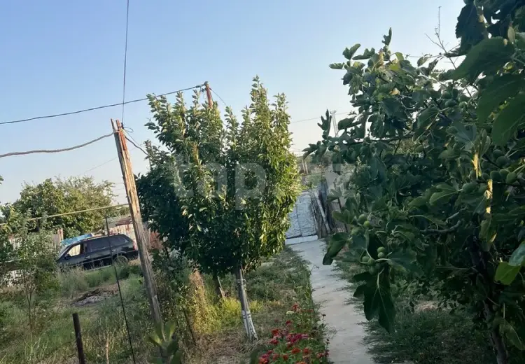 3 otaqlı mənzil , Sumqayıt