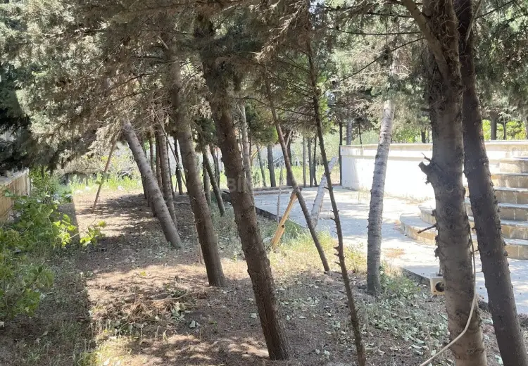 35 sot Torpaq Satılır, Bilgəh qəs., Sabunçu, Bakı
