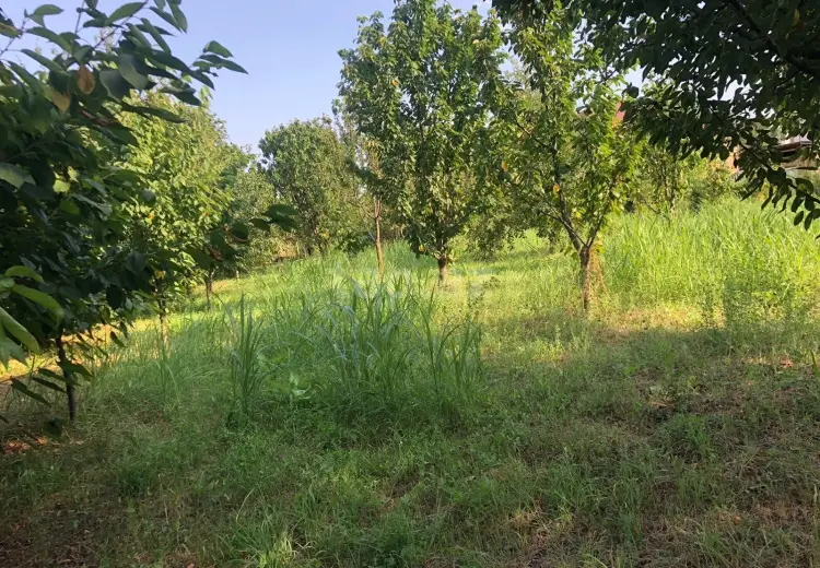0 m² Obyekt / Ofis , Quba