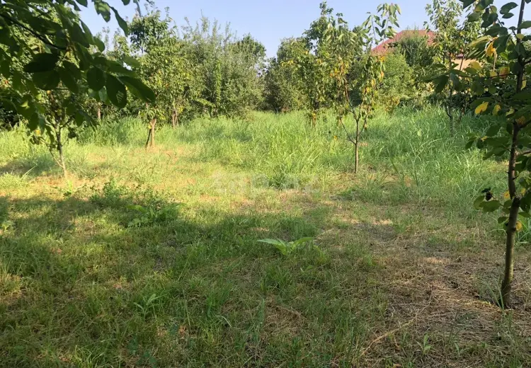 0 m² Obyekt / Ofis , Quba