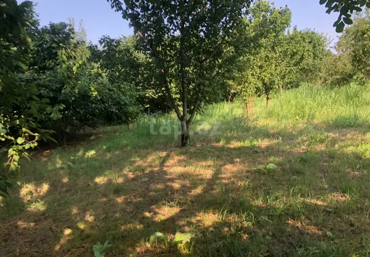 0 m² Obyekt / Ofis , Quba