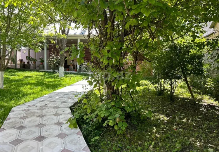 4 otaqlı mənzil Kirayə (günlük), Qəbələ