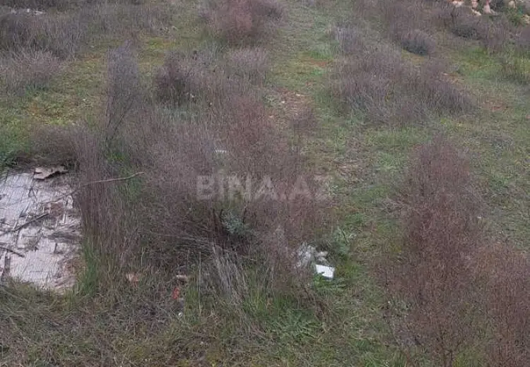 12 sot Torpaq Satılır, Badamdar qəs., Səbail, Bakı