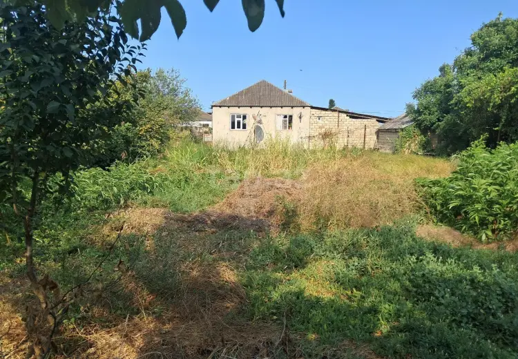 3 otaqlı mənzil , Xaçmaz