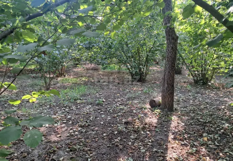 3 otaqlı mənzil , Xaçmaz