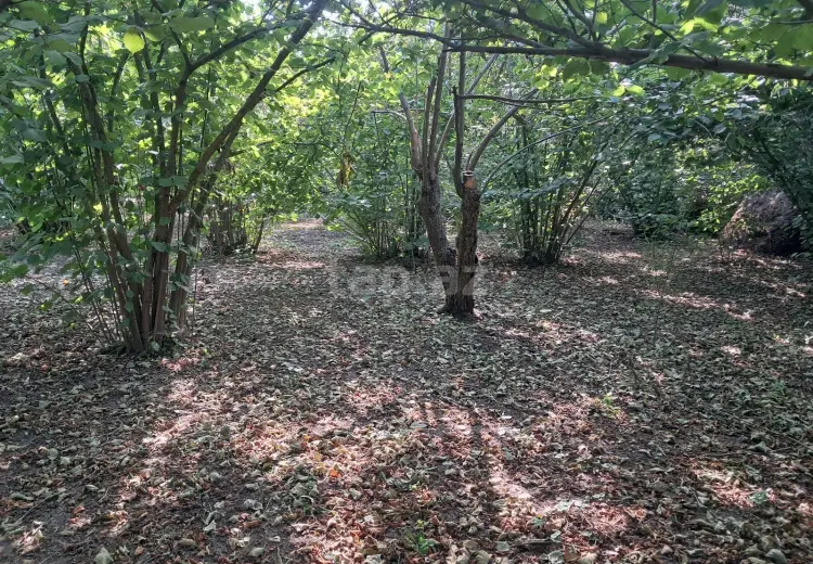 3 otaqlı mənzil , Xaçmaz