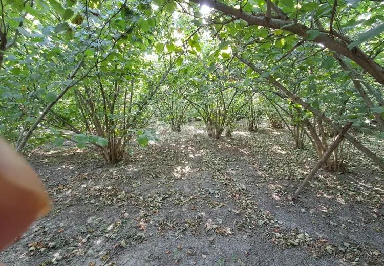 3 otaqlı mənzil , Xaçmaz