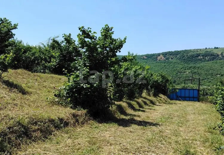 0 m² Obyekt / Ofis , Quba