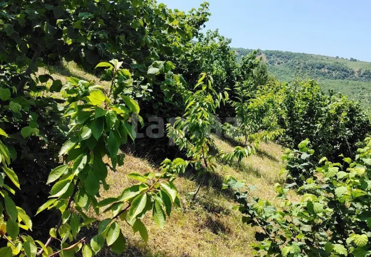 0 m² Obyekt / Ofis , Quba