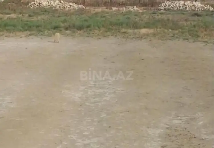 26 sot Torpaq Satılır, Kürdəxanı qəs., Sabunçu, Bakı