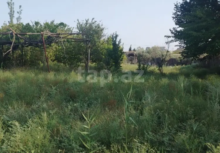 0 m² Obyekt / Ofis , Şirvan