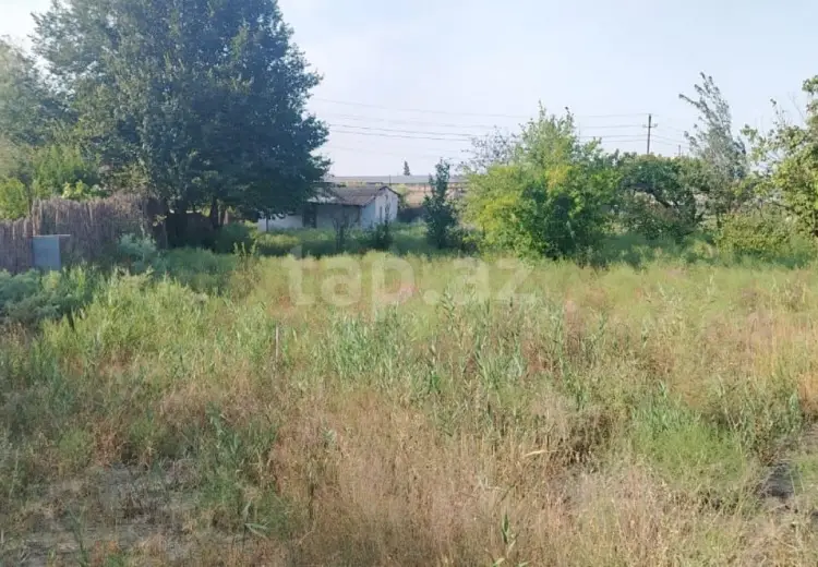 0 m² Obyekt / Ofis , Şirvan