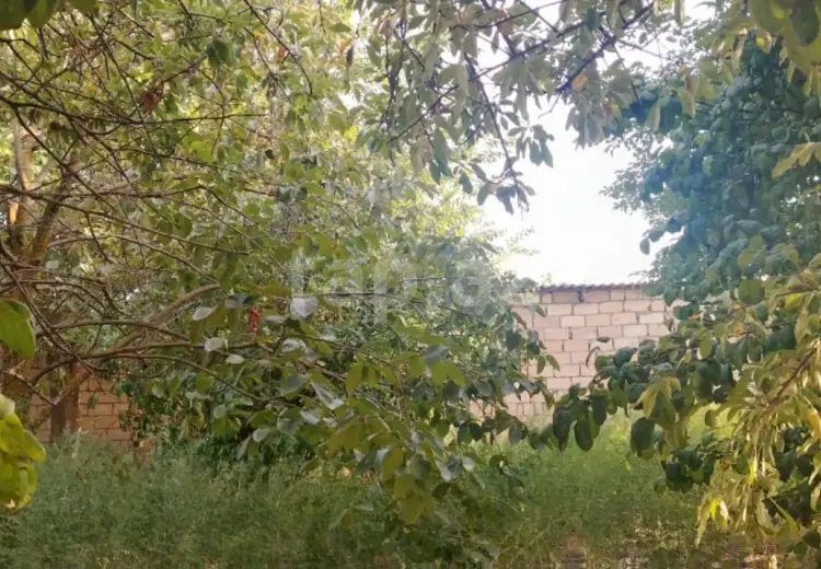 0 m² Obyekt / Ofis , Şirvan