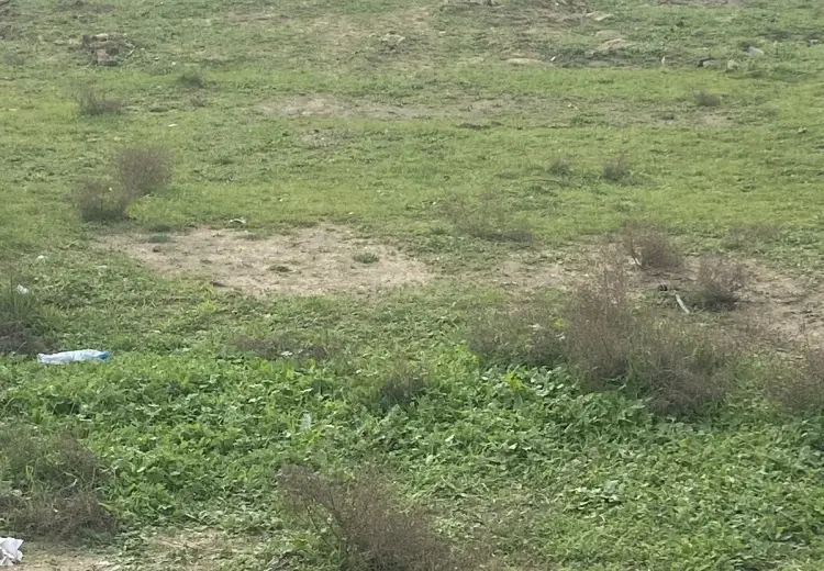 6 sot Torpaq Satılır, Şüvəlan, Xəzər, Bakı