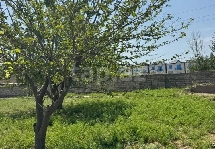 0 m² Obyekt / Ofis , Bakı