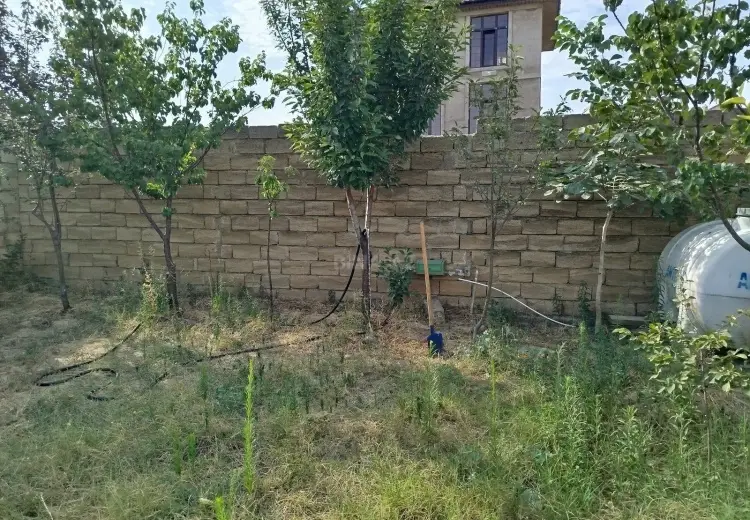 2.5 sot Torpaq Satılır, Saray, Abşeron