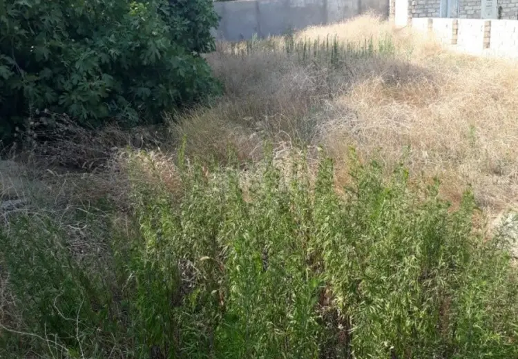 4.2 sot Torpaq Satılır, Məştağa qəs., Sabunçu, Bakı