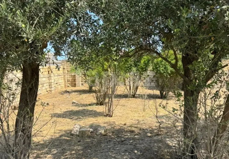 0 m² Obyekt / Ofis , Novxanı, Abşeron