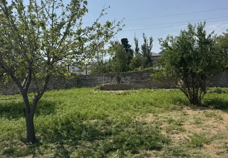 3 sot Torpaq Satılır, Novxanı, Abşeron