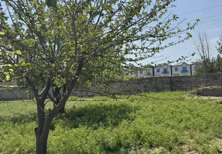 3 sot Torpaq Satılır, Novxanı, Abşeron