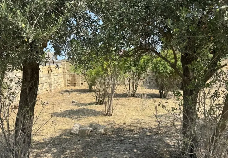 2 sot Torpaq Satılır, Novxanı, Abşeron
