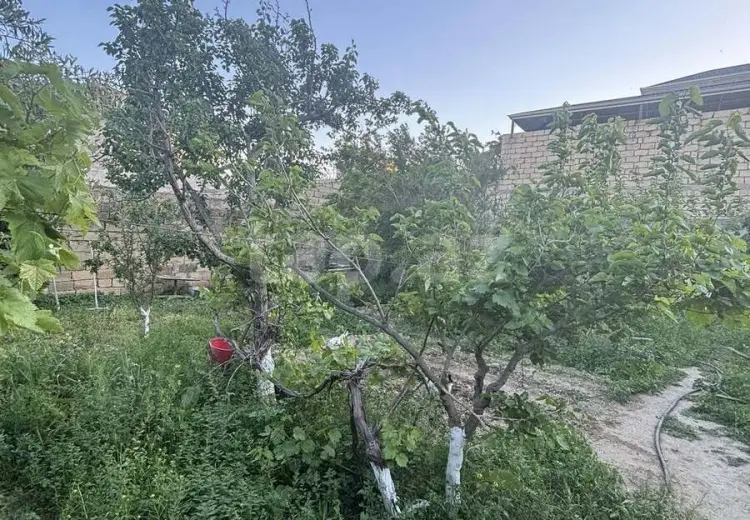 0 m² Obyekt / Ofis , Lökbatan qəs., Qaradağ, Bakı