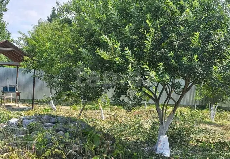 0 m² Obyekt / Ofis , İsmayıllı
