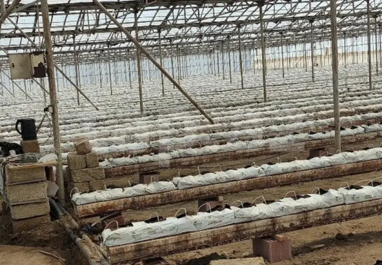 0 m² Obyekt / Ofis , Sabunçu, Bakı