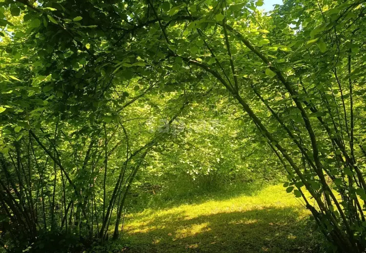 0 m² Obyekt / Ofis , Qax