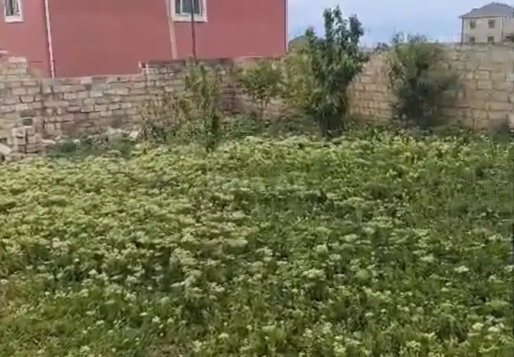 3 sot Torpaq Satılır, Saray, Abşeron