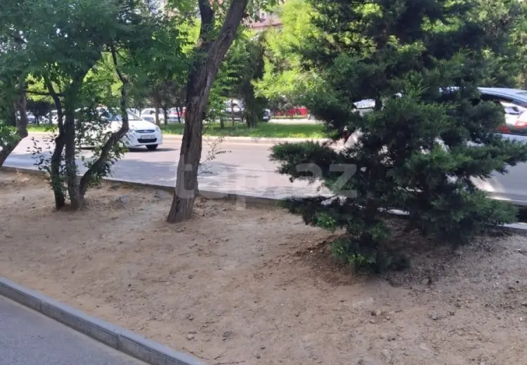 0 m² Obyekt / Ofis , Bakı