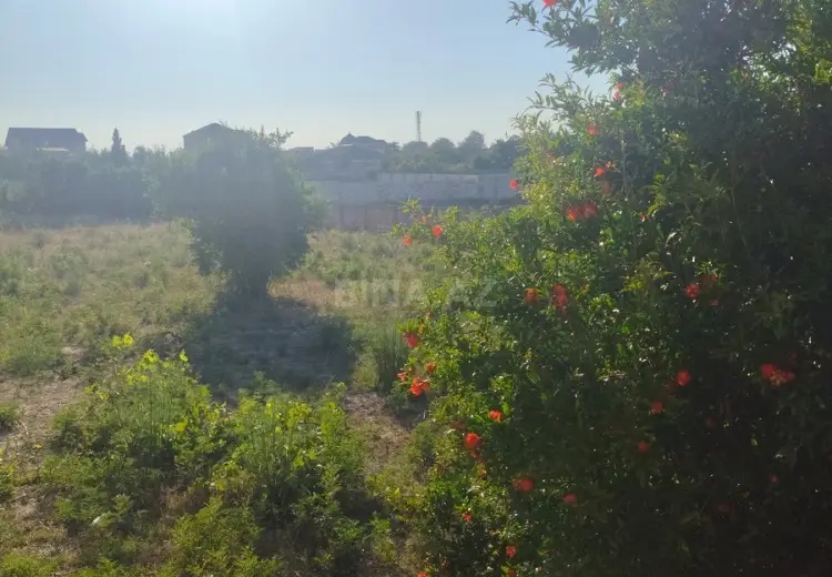 9.5 sot Torpaq Satılır, Pirşağı qəs., Sabunçu, Bakı