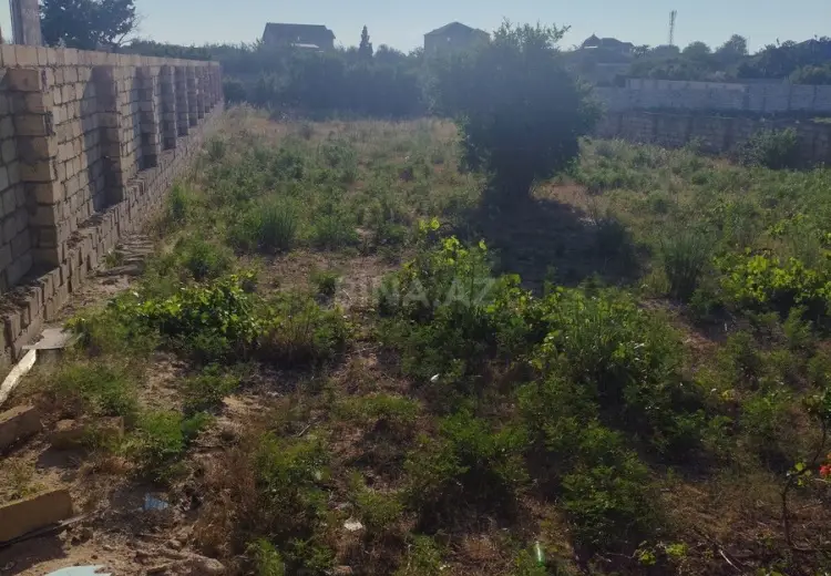 9.5 sot Torpaq Satılır, Pirşağı qəs., Sabunçu, Bakı